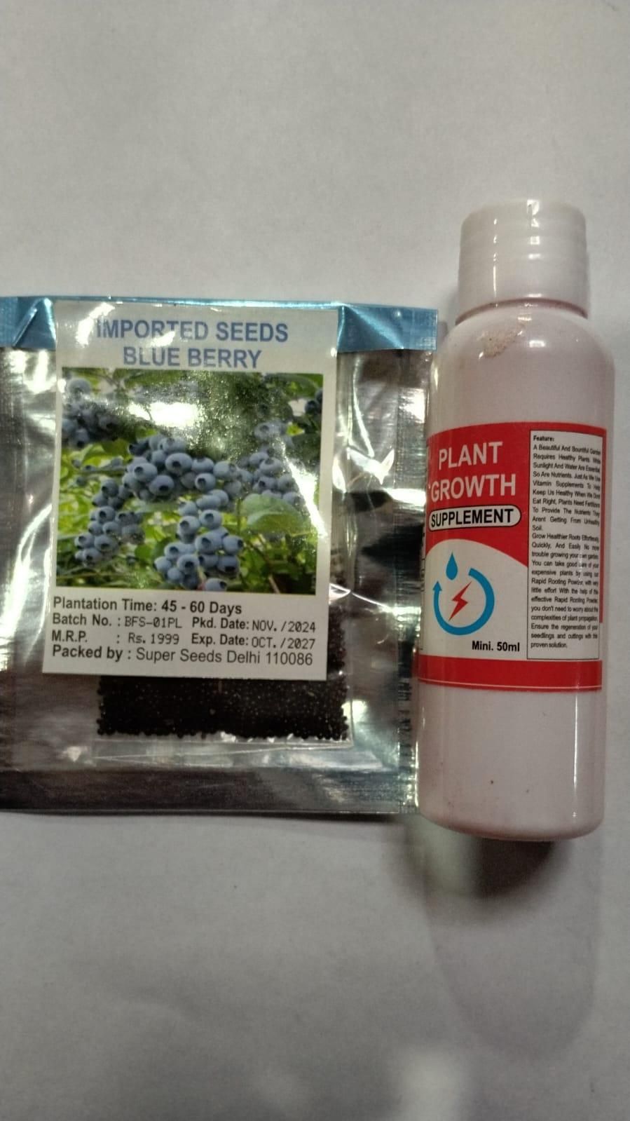 Giant Blueberry Fruit Seeds